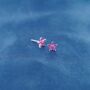 Pink Tourmaline October Birthstone 925 Silver Stud Earrings, thumbnail 3 of 9