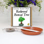 Gardening Gift. Grow Your Own Redwood Bonsai Tree, thumbnail 1 of 4