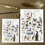 Water Birds Of Britain Watercolour Postcard, thumbnail 7 of 12