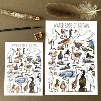 Water Birds Of Britain Watercolour Postcard, 7 of 12