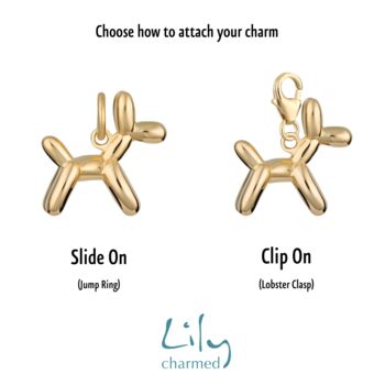 Balloon Dog Charm, Slide On Or Clip On, 3 of 6