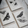 Monochrome Butterfly Greeting Cards – Set Of Four A6, thumbnail 6 of 11
