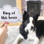 Pet Thought Bubbles In Pastel, thumbnail 1 of 9