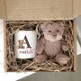 New Baby Teddy Bear Gift Hamper Money Box, thumbnail 5 of 6