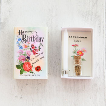 September Birth Flower Seeds And Birthday Candle Gift, 3 of 8