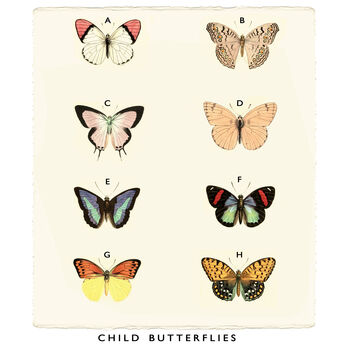 Family Butterfly Print, Unframed, 9 of 9