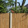 Rusted Metal Goldfinch Bird Garden Fence Topper, thumbnail 7 of 10