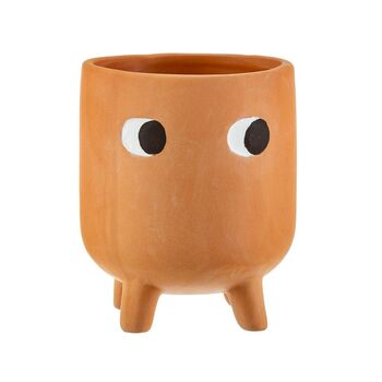 Mini Leggy Terracotta Planter With Choice Of Plant, 2 of 2