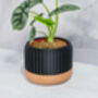 Carbon Linear Planter, thumbnail 4 of 4