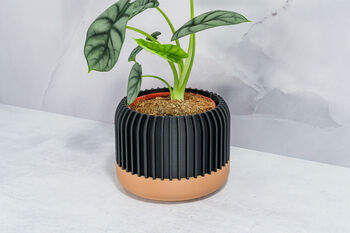 Carbon Linear Planter, 4 of 4