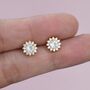 Sterling Silver Delicate Cz Flower Stud Earrings, thumbnail 3 of 12