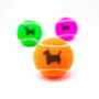 Scottie Dog Tennis Balls, thumbnail 4 of 6