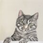 Personalised Pet Portrait Commission, thumbnail 12 of 12