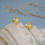 Sterling Silver Little Star Fish Stud Earrings, thumbnail 6 of 12