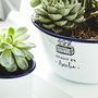 Enamel Personalised Planter, thumbnail 7 of 9