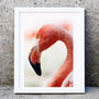 Minimal Flamingo Photography Print, Flamingo Wall Art, thumbnail 2 of 5