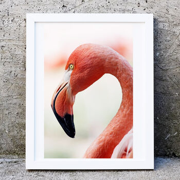 Minimal Flamingo Photography Print, Flamingo Wall Art, 2 of 5