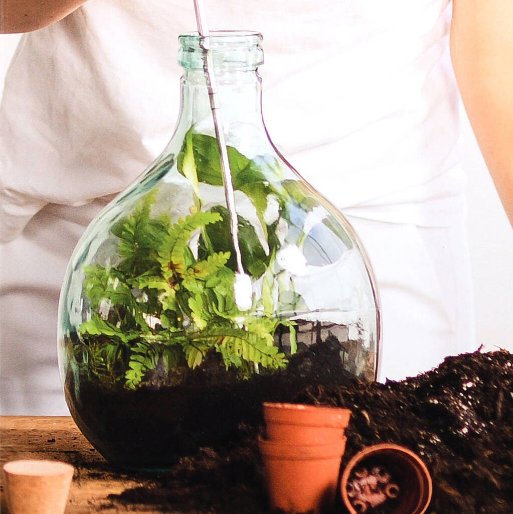 Bottle Terrarium Kit By Blackdown Lifestyle