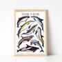 Dolphins Of Britain Wildlife Print, thumbnail 4 of 9