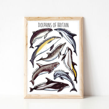 Dolphins Of Britain Wildlife Print, 4 of 9