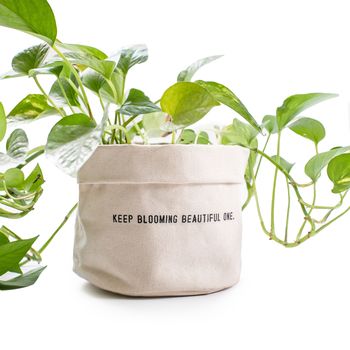 'Keep Blooming' Canvas House Plant Pot For Gardeners, 4 of 6