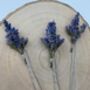 Dried Lavender Flower Hair Pins, thumbnail 6 of 8