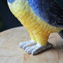 Blue And Yellow Parrot Storage Jar, Ceramic Pot, thumbnail 2 of 6