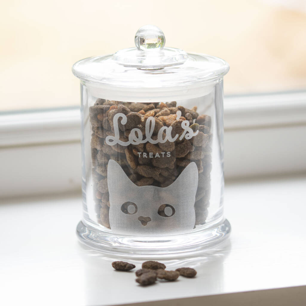 Cute Glass Cat Treat Jar By Oh So Cherished