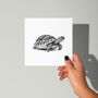 Hand Drawn Tortoise Illustration Greeting Card, thumbnail 1 of 6