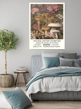 Natural History Pink Mushroom Art Print, 4 of 4