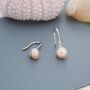 Genuine Pink Freshwater Pearl Hook Earrings, thumbnail 1 of 12