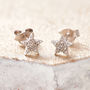 Diamond Studs Star Earrings, thumbnail 6 of 6