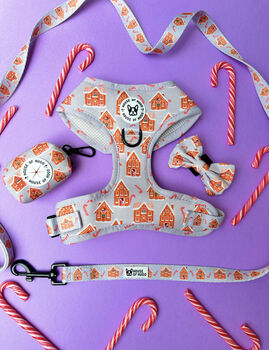 Christmas Dog Lead Gingerbread Candy Cane Print, 2 of 3