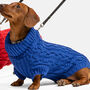 Blue Mini Dachshund Knitted Jumper, thumbnail 3 of 5