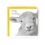 Adorable Lamb Birthday Card, thumbnail 1 of 3
