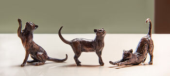 Miniature Bronze Sitting Cat Sculpture 8th Anniversary, 2 of 12