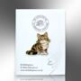 Cute Anime Tabby Cat Enamel Pin Brooch, thumbnail 5 of 9