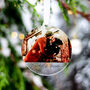 First Christmas Together Couples Tree Decoration, thumbnail 6 of 10