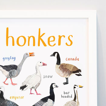 'Honkers' Illustrated Bird Art Print, 2 of 3