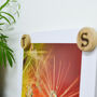 Personalised Oak Magnetic Picture Hanging Dots, thumbnail 2 of 8