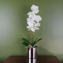 White Artificial Orchid Silver Pot 46cm Real Touch, thumbnail 1 of 3