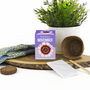 Grow Your Own Birth Flower Choose Your Month, thumbnail 7 of 12