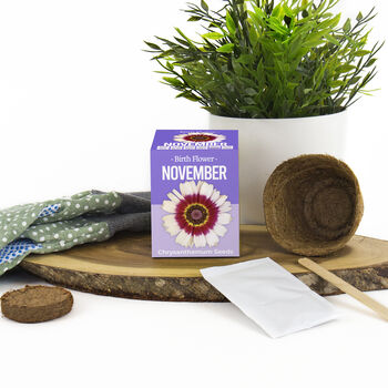 Grow Your Own Birth Flower Choose Your Month, 7 of 12