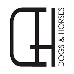 D&H logo