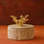 Travertine Storage Box With Coral Handle, thumbnail 1 of 2