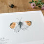 ‘Orange Tip’ Butterfly A5 Giclée Art Print, thumbnail 3 of 3