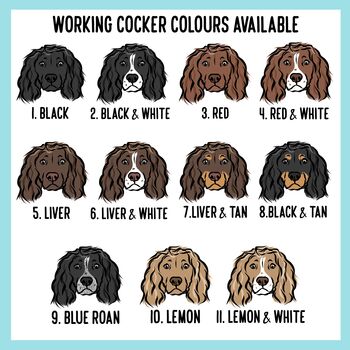 Working Cocker Spaniel Child T Shirt, 6 of 8