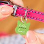 Personalised Cat Face Hello Cat ID Tag, thumbnail 4 of 12