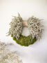 Statice And Moss Wreath, thumbnail 1 of 5