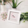New Baby Pebble Picture, thumbnail 1 of 4